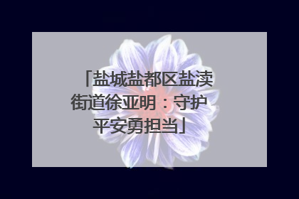 盐城盐都区盐渎街道徐亚明：守护平安勇担当