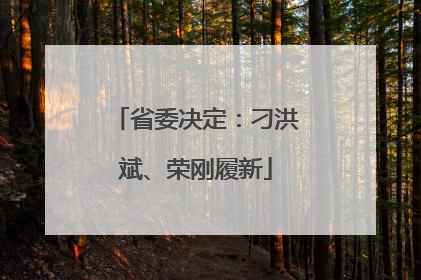 省委决定：刁洪斌、荣刚履新
