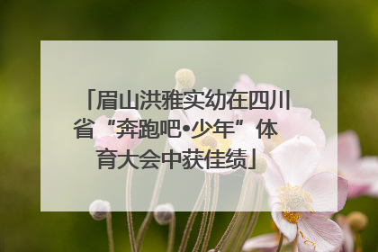 眉山洪雅实幼在四川省“奔跑吧•少年”体育大会中获佳绩