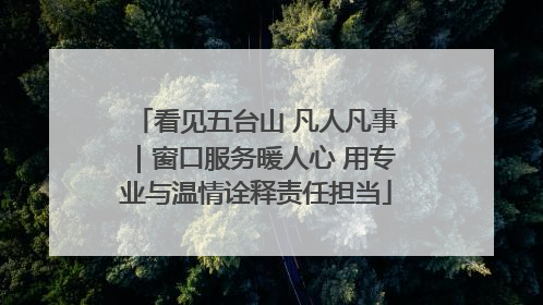 看见五台山 凡人凡事｜窗口服务暖人心 用专业与温情诠释责任担当