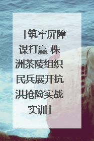 筑牢屏障谋打赢 株洲茶陵组织民兵展开抗洪抢险实战实训