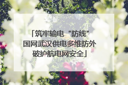 筑牢输电“防线” 国网武汉供电多维防外破护航电网安全