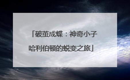 破茧成蝶：神奇小子哈利伯顿的蜕变之旅