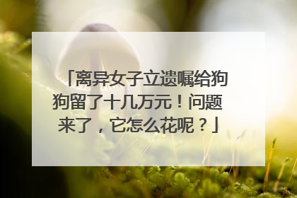 离异女子立遗嘱给狗狗留了十几万元！问题来了，它怎么花呢？