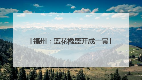 福州：蓝花楹盛开成一景