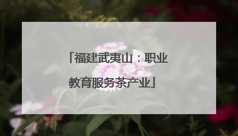 福建武夷山：职业教育服务茶产业