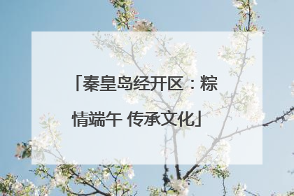 秦皇岛经开区：粽情端午 传承文化