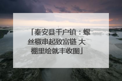 秦安县千户镇：螺丝椒串起致富链 大棚里绘就丰收图