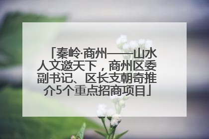 秦岭·商州——山水人文邀天下，商州区委副书记、区长支朝奇推介5个重点招商项目