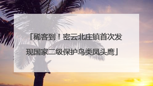 稀客到！密云北庄镇首次发现国家二级保护鸟类凤头鹰