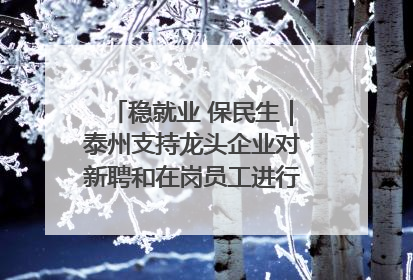 稳就业 保民生｜泰州支持龙头企业对新聘和在岗员工进行实训——到岗就能用 用了就见效