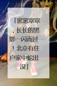 窸窸窣窣，长长的黑影一闪而过！北京有住户家中蛇出没