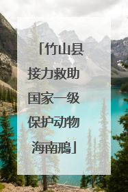 竹山县接力救助国家一级保护动物海南鳽