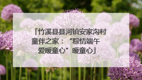 竹溪县县河镇安家沟村童伴之家：“粽情端午 爱暖童心”暖童心
