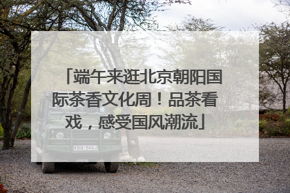 端午来逛北京朝阳国际茶香文化周！品茶看戏，感受国风潮流