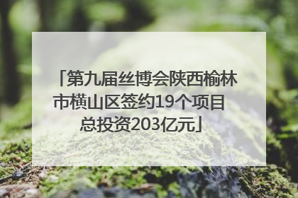 第九届丝博会陕西榆林市横山区签约19个项目 总投资203亿元