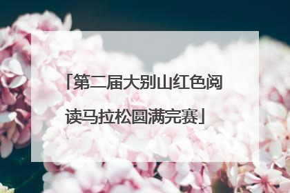 第二届大别山红色阅读马拉松圆满完赛