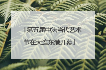 第五届中法当代艺术节在大连东港开幕