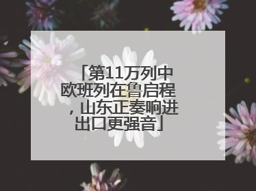 第11万列中欧班列在鲁启程，山东正奏响进出口更强音