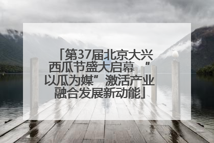 第37届北京大兴西瓜节盛大启幕 “以瓜为媒”激活产业融合发展新动能