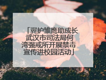 翼护雏鹰助成长 武汉市司法局何湾强戒所开展禁毒宣传进校园活动