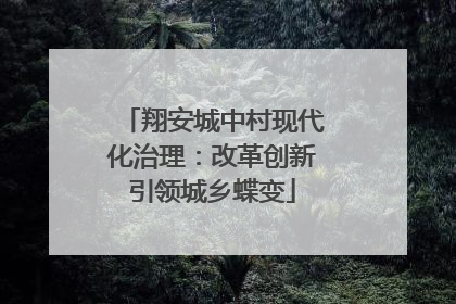 翔安城中村现代化治理：改革创新引领城乡蝶变