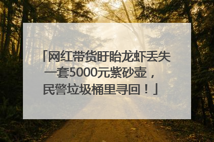 网红带货盱眙龙虾丢失一套5000元紫砂壶，民警垃圾桶里寻回！