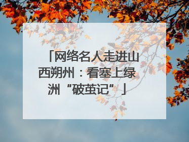 网络名人走进山西朔州：看塞上绿洲“破茧记”