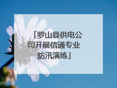 罗山县供电公司开展信通专业防汛演练