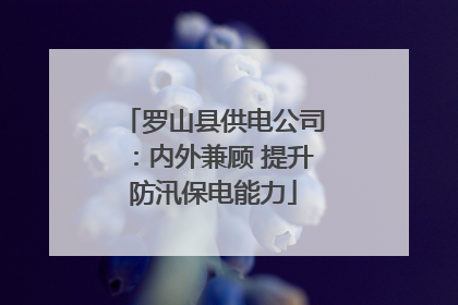 罗山县供电公司：内外兼顾 提升防汛保电能力