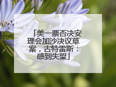 美一票否决安理会加沙决议草案，古特雷斯：感到失望