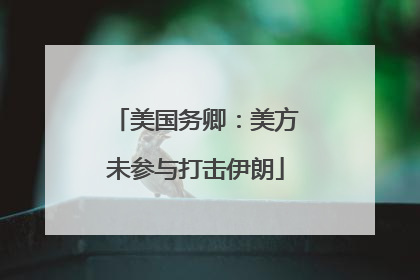 美国务卿：美方未参与打击伊朗