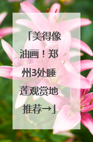 美得像油画！郑州3处睡莲观赏地推荐→