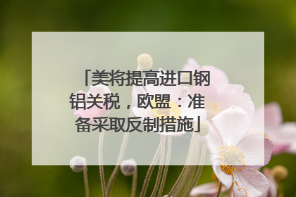美将提高进口钢铝关税，欧盟：准备采取反制措施