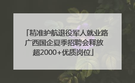 精准护航退役军人就业路 广西国企夏季招聘会释放超2000+优质岗位
