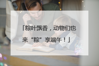 粽叶飘香，动物们也来“粽”享端午！
