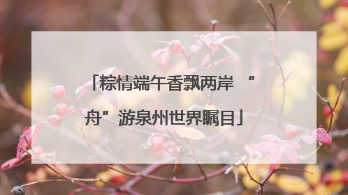 粽情端午香飘两岸 “舟”游泉州世界瞩目