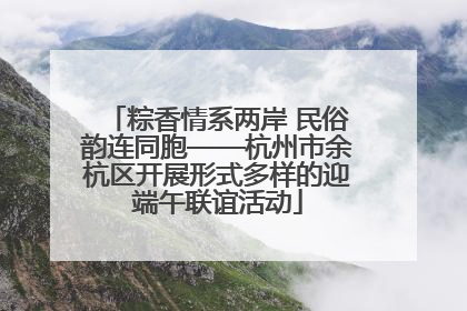 粽香情系两岸 民俗韵连同胞——杭州市余杭区开展形式多样的迎端午联谊活动