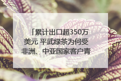 累计出口超350万美元 平武绿茶为何受非洲、中亚国家客户青睐？｜发布会观察