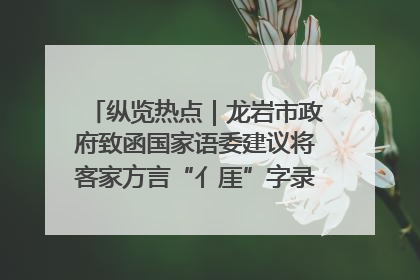 纵览热点｜龙岩市政府致函国家语委建议将客家方言“亻厓”字录入《新华字典》引发热议，当地回应