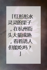 红彤彤水灵灵的果子，在杭州街头大量成熟，看着诱人但能吃吗？
