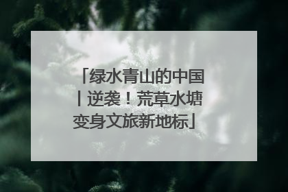 绿水青山的中国丨逆袭！荒草水塘变身文旅新地标