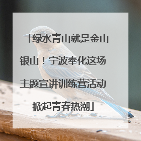 绿水青山就是金山银山！宁波奉化这场主题宣讲训练营活动掀起青春热潮