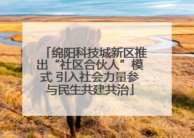 绵阳科技城新区推出“社区合伙人”模式 引入社会力量参与民生共建共治