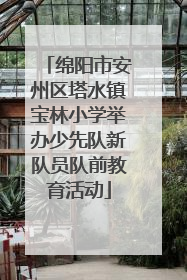 绵阳市安州区塔水镇宝林小学举办少先队新队员队前教育活动