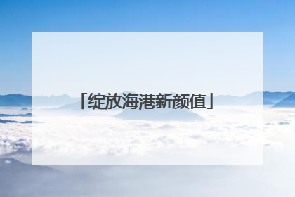绽放海港新颜值