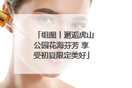 组图丨邂逅虎山公园花海芬芳 享受初夏限定美好