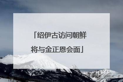 绍伊古访问朝鲜 将与金正恩会面