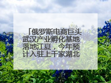 俄罗斯电商巨头武汉产业孵化基地落地江夏，今年预计入驻上千家湖北跨境卖家