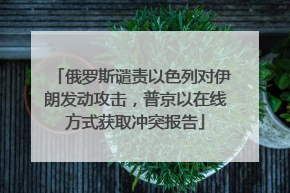 俄罗斯谴责以色列对伊朗发动攻击，普京以在线方式获取冲突报告
